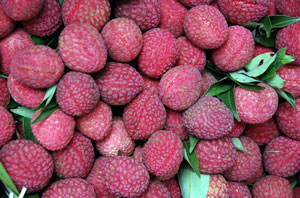 litchi