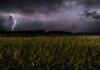 grass field under cloudy sky